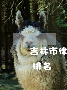 吉林市律師事務所排名榜(吉林省律師事務所排名)