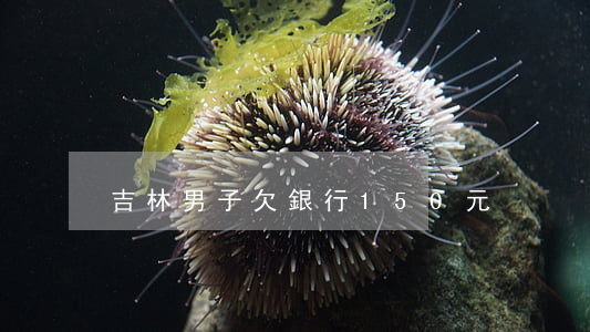 吉林男子欠銀行150元
