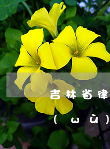 吉林省律師事務(wù)所(吉林省律師事務(wù)所)