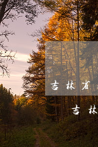 吉林省永吉縣龍達物資經(jīng)銷處訴吉林省永吉縣人民政府征收補償案