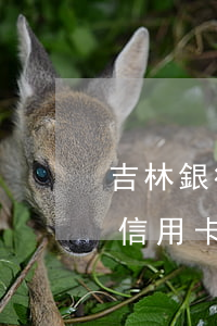 吉林銀行信用卡惡意透支(說(shuō)我信用卡惡意透支)