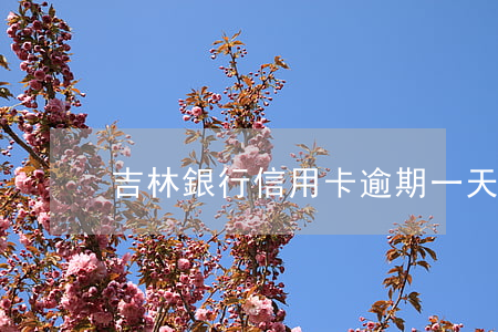 吉林銀行信用卡逾期一天