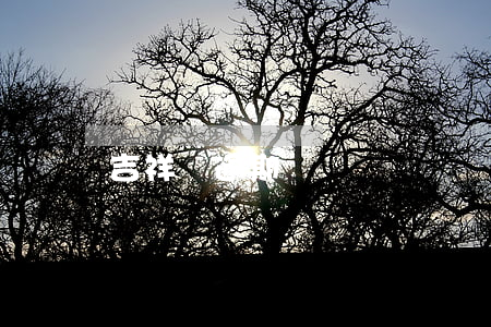 吉祥寶逾期