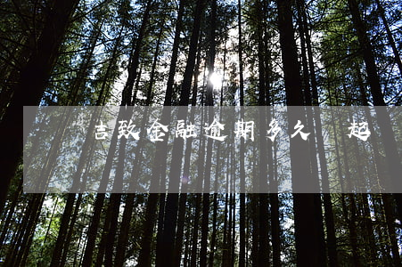 吉致金融逾期多久會起訴(吉致金融處罰)