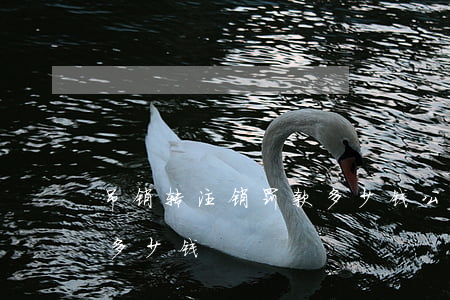 吊销转注销罚款多少钱(公司吊销转注销需要多少钱)