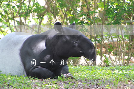 同一个月多笔贷款逾期