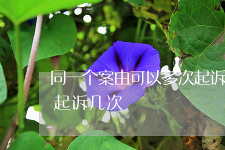 同一个案由可以多次起诉吗(同一件案子可以起诉几次)