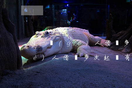 同一個(gè)人借錢多次起訴(同一個(gè)人借錢多次起訴有用嗎)