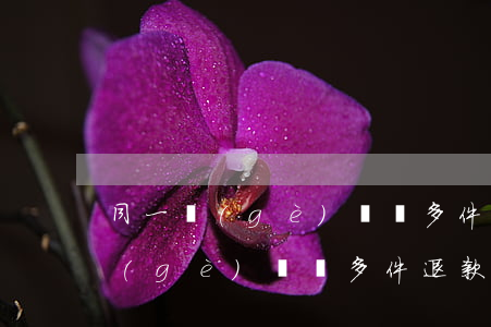 同一個(gè)訂單多件退款怎么退(同一個(gè)訂單多件退款怎么退一個(gè)運(yùn)費(fèi)險(xiǎn))