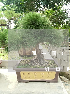 同一個(gè)訂單多件退款怎么退(淘寶同一訂單退多件)