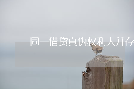 同一借贷，真伪权利人并存时的诉讼主体