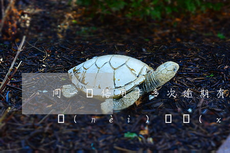 同一張信用卡多次逾期,有些已超過5年（一年內(nèi)連續(xù)6次逾期信用卡）