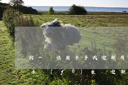 同一張信用卡多次逾期,有些已超過5年（信用卡發(fā)生過逾期2次）