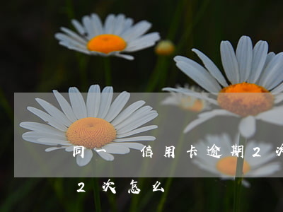 同一張信用卡逾期2次-同一張信用卡逾期2次怎么辦