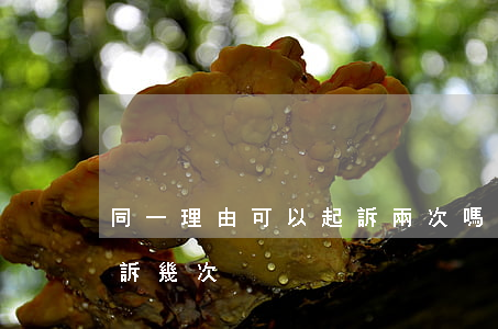 同一理由可以起訴兩次嗎(同一個案件可以上訴幾次)