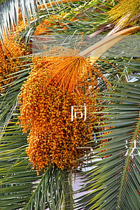 同一級(jí)法院可以上訴嗎(上訴可以向一審法院提出嗎)