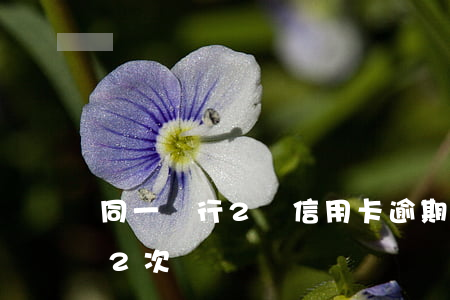同一銀行2張信用卡逾期(同一張信用卡逾期2次)