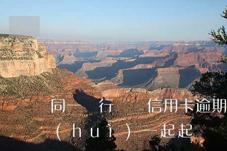 同一銀行兩張信用卡逾期(兩張信用卡逾期會(huì)一起起訴嗎)