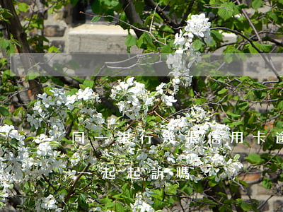 同一銀行幾張信用卡逾期(多張信用卡逾期會一起起訴嗎)