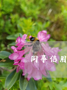 同事信用卡還不上留的我的電話-
