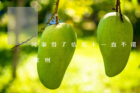 同事借了信用卡一直不還(別人借信用卡不還案例)