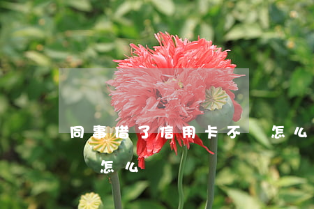 同事借了信用卡不還怎么辦(有人借信用卡不還怎么辦?)