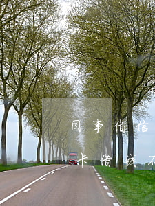 同事借信用卡不还怎么起诉(别人用我的信用卡借钱不还可以起诉吗)