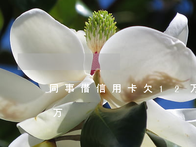 同事借信用卡欠12万(同事借信用卡欠12万)