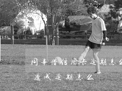 同事借信用卡逾期怎么辦(信用卡借給朋友用造成逾期怎么辦)