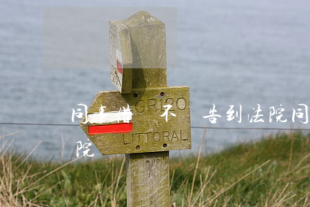 同事借錢不還告到法院(同事借錢不還告到法院)
