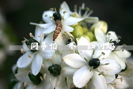 同事借錢不還如何起訴