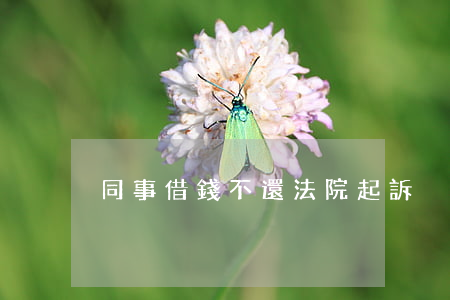 同事借錢不還法院起訴