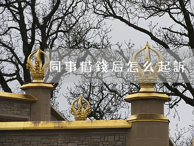 同事借錢后怎么起訴