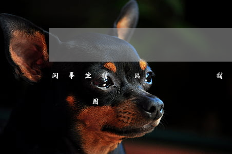 同事坐我車出車禍賠償我全責(同事搭車出了車禍用賠償嗎)