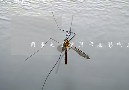 同事欠了信用卡会影响我信用嘛-