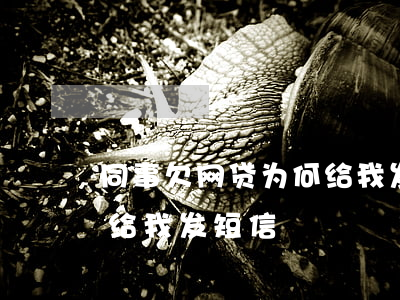 同事欠网贷为何给我发短信(同事欠网贷为何给我发短信)