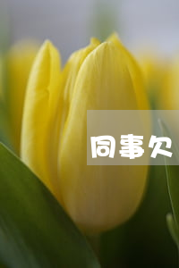 同事欠錢找公司起訴
