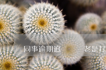 同事逾期追債電話老是打怎么辦-