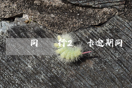 同個銀行2張卡逾期(同個銀行2張卡逾期)