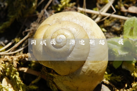 同城提錢游逾期起訴(提錢游逾期被起訴)