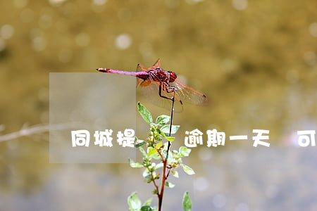 同城提錢購逾期一天還可以用嗎-