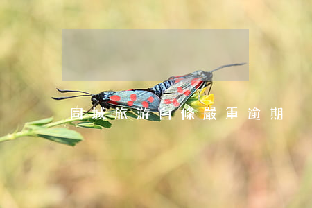 同城旅游白條嚴重逾期