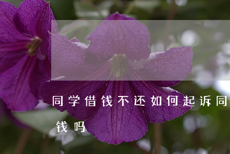 同学借钱不还如何起诉(同学借钱不还起诉要钱吗)