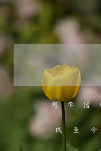 同学借钱至今未还能起诉其父母吗-同学借钱至今未还能起诉其父母吗知乎