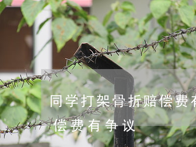 同学打架骨折赔偿费有争议(同学打架骨折赔偿费有争议)