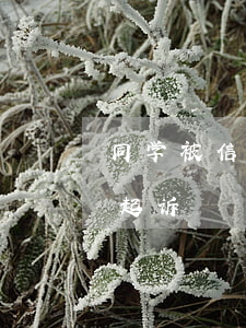 同学被信用卡逾期起诉(信用卡逾期十几万被起诉)