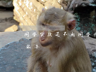 同学贷款还不起(同学借款100万还不了怎么办)