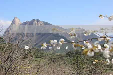 同學(xué)之間偶爾打架是校園欺凌嗎