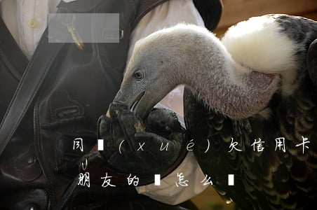 同學(xué)欠信用卡錢(欠了信用卡,欠了朋友的錢怎么辦)