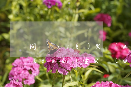 同學(xué)欠網(wǎng)貸跑路(學(xué)生欠網(wǎng)貸)